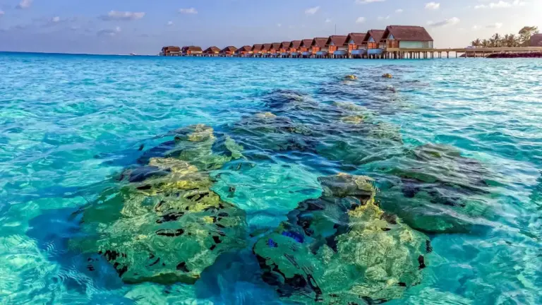 MIT-Spun Startup Uses AI and Custom Reefs to Reverse Beach Erosion in the Maldives