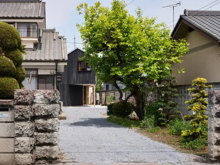 This Charred-Wood Home in Japan Turns a Backyard Constraint Into Its Best Feature