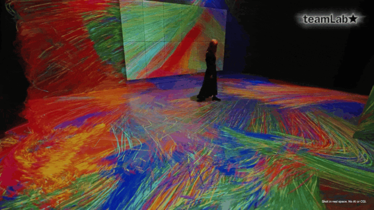 Exploring the Boundaries of Art, Technology, and Human Perception in teamLab’s Latest Chicago Exhibition