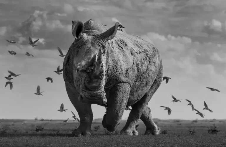 Exposure One Awards Opens People’s Vote for 2026 Photographer of the Year