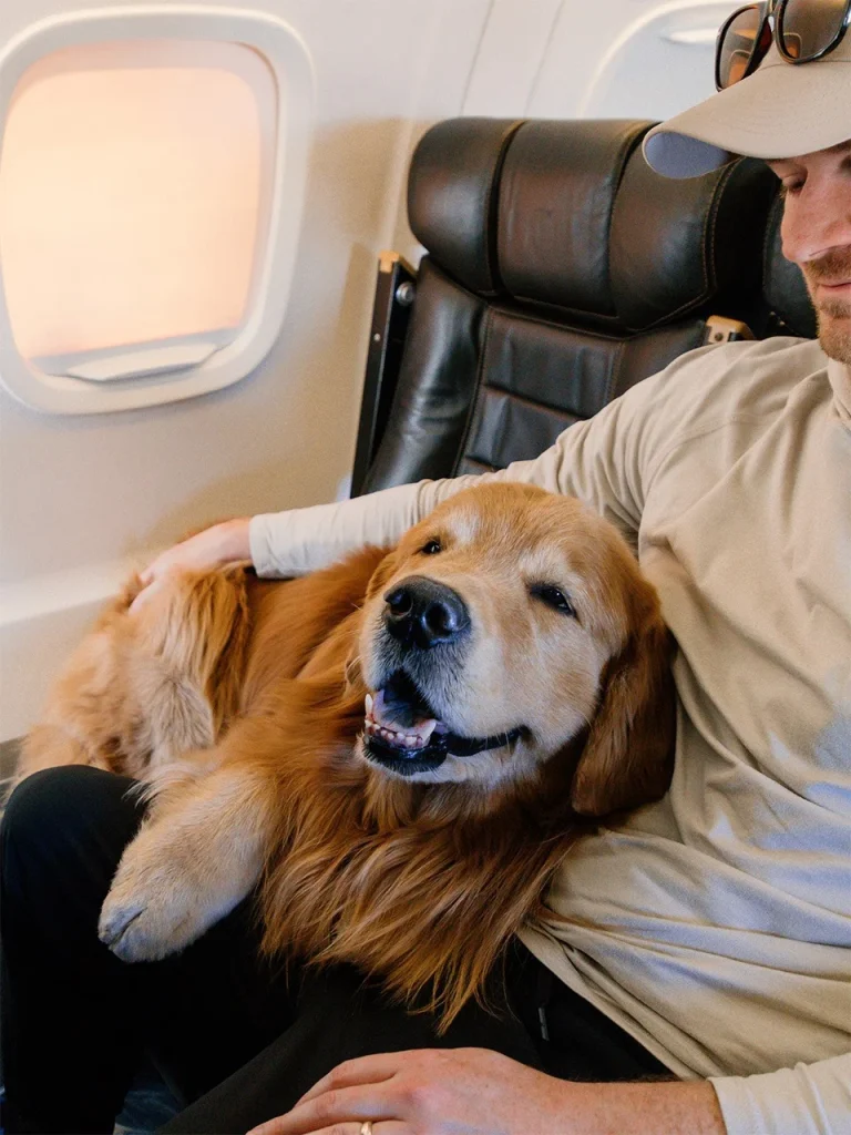 When the Sky Truly Is the Limit: How Dog-Friendly Airlines Are Transforming Pet Travel